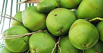 Green Coconuts