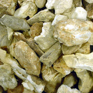 Tapioca Chips