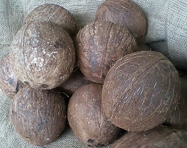 Dry Coconuts